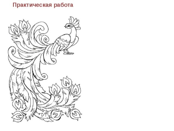 Иван Царевич и серый волк раскраска Жар птица