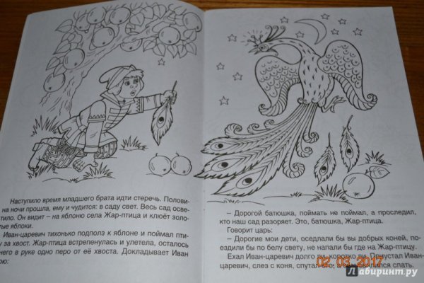 Раскраска к сказке Иван Царевич и Жар птица