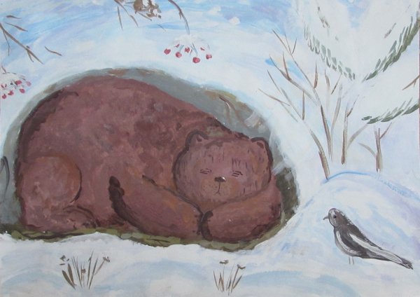 Раскраски медведь спящий в берлоге (47 фото)