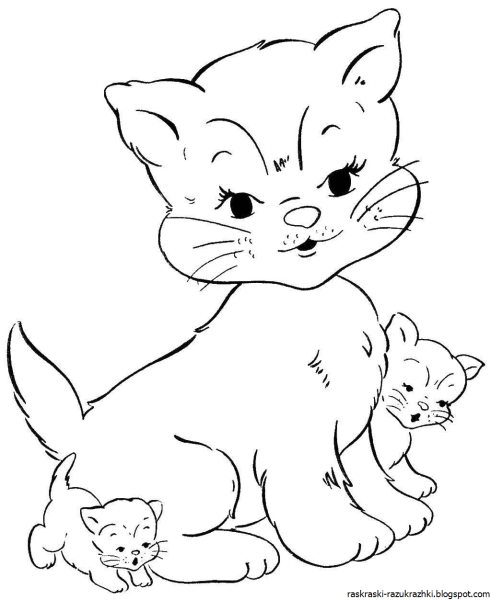 Раскраска кот