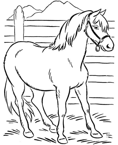 Раскраски изображение лошади (48 фото)