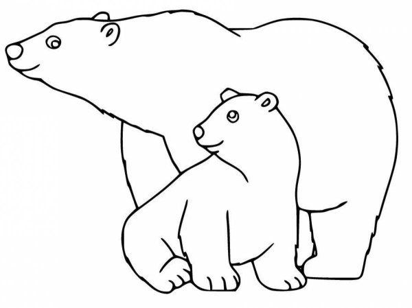 Белый медведь раскраска