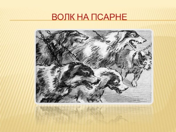 Иллюстрация к басне волк на псарне