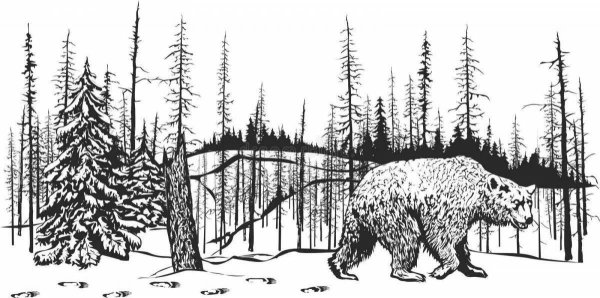 Медведь в тайге