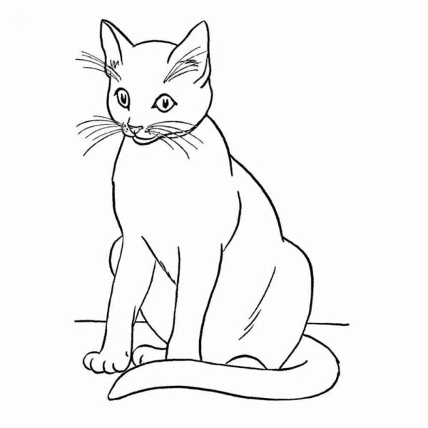Котенок раскраска для детей
