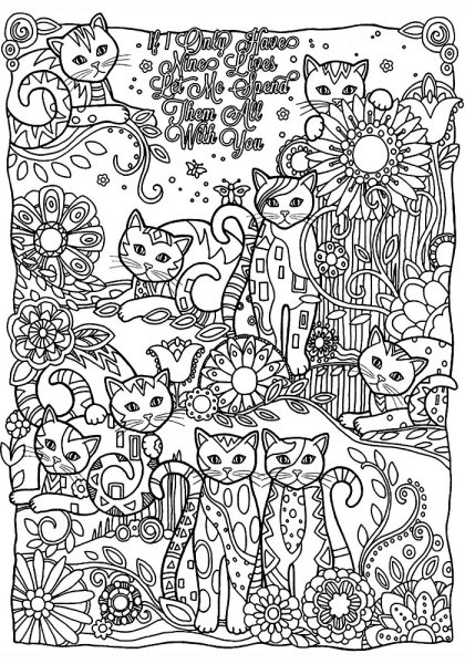 Раскраска кот