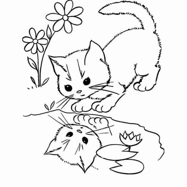 Раскраска кот