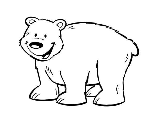 Bear раскраска