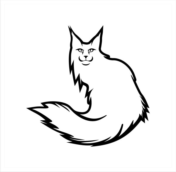 Раскраска кот Мейн кун