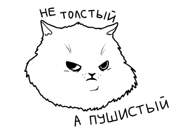 Раскраски мемы коты