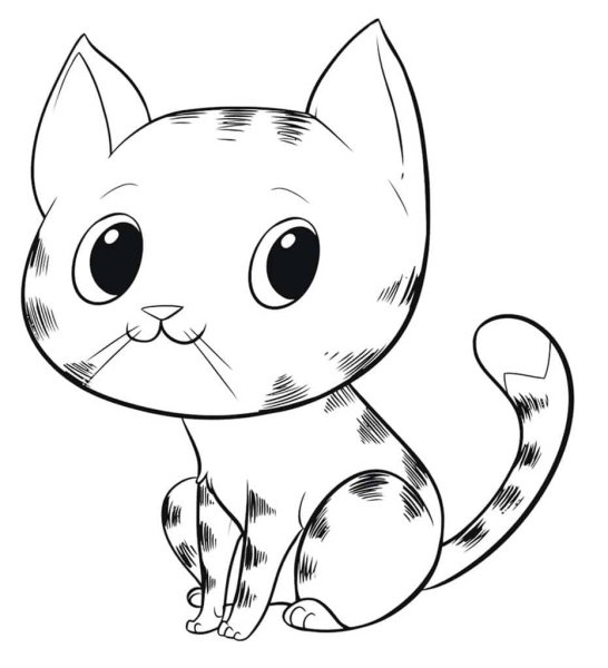 Раскраска. Котики