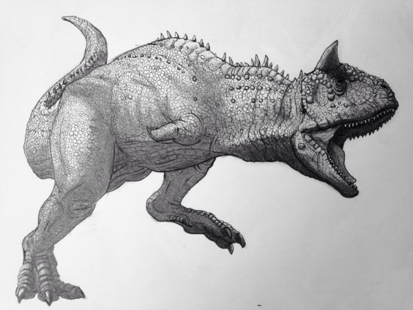 Spinosaurus Carnotaurus