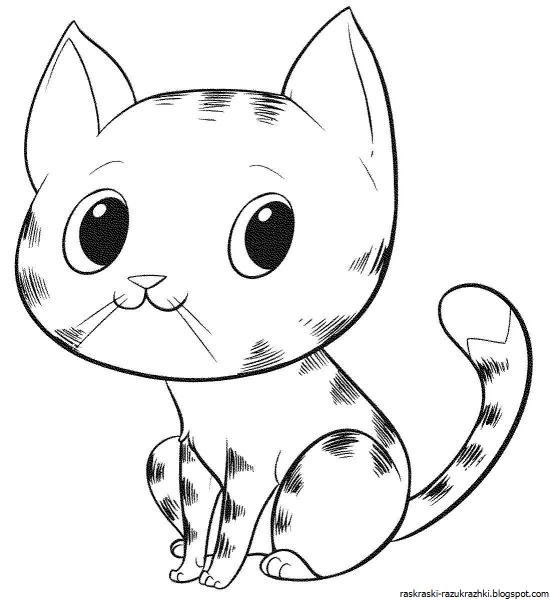 Раскраска кот
