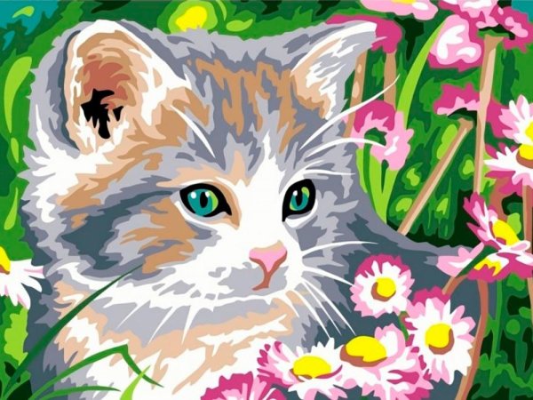 Картина по номерам котята