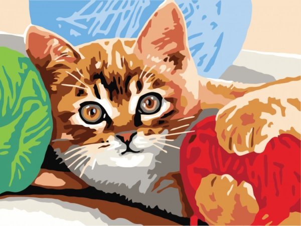 Рисование по номерам котенок