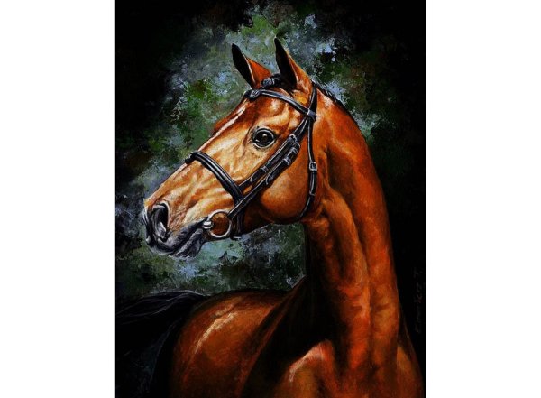 Color Kit картина по номерам "арабский скакун" 40х50 см