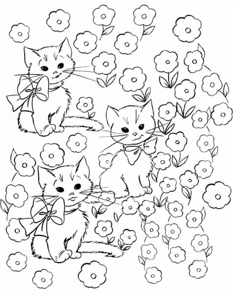 Раскраска кошечка