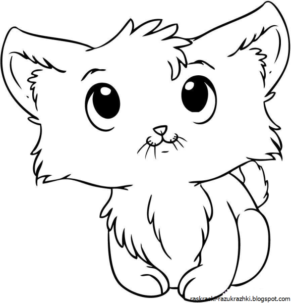 Раскраска. Котики