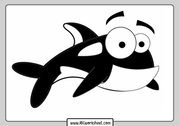 Orca draw