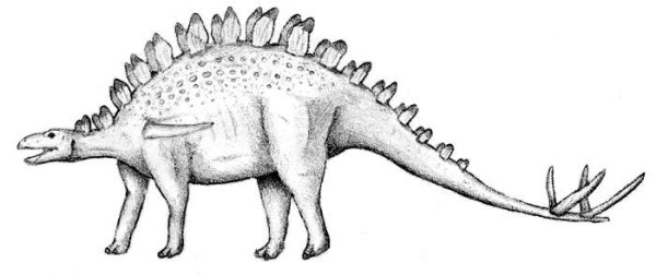 Chialingosaurus динозавр