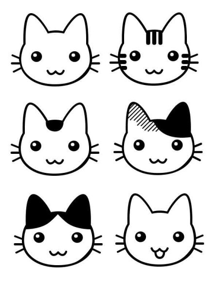 Мордочка котика легкая