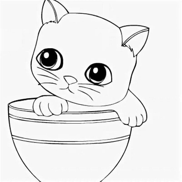 Раскраска котенок в кружке