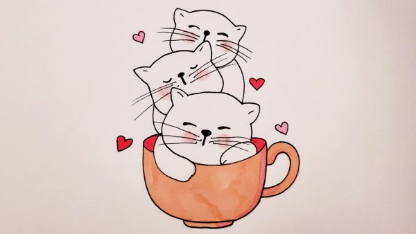 Котик в кружке рисунок для срисовки