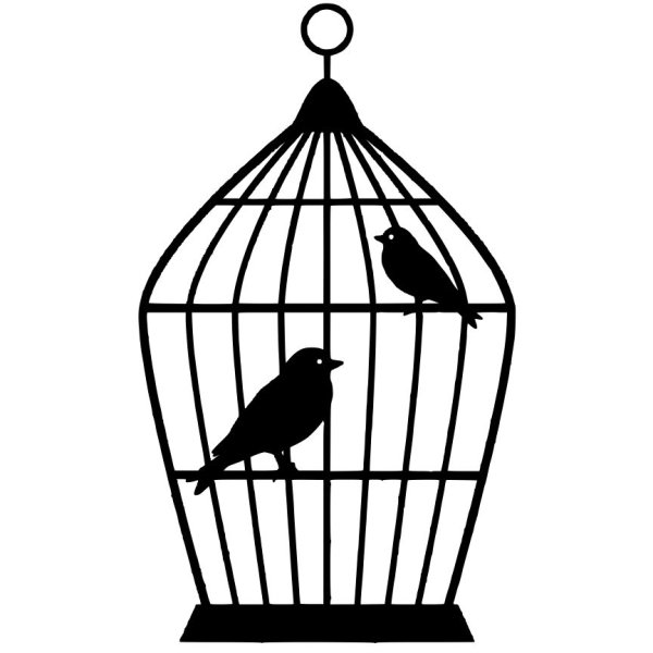Трафарет клетки для птиц