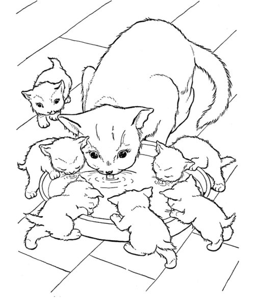 Раскраска кошечка