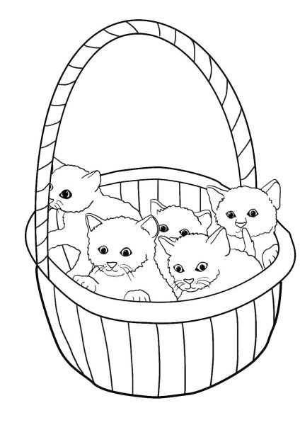 Котенок. Раскраска