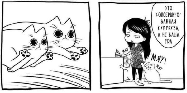 Комикс про кота