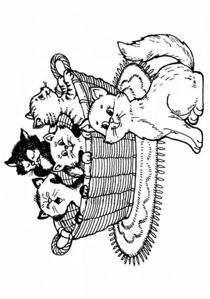 Раскраска кот в корзинке