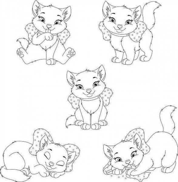 Пятеро котят раскраска