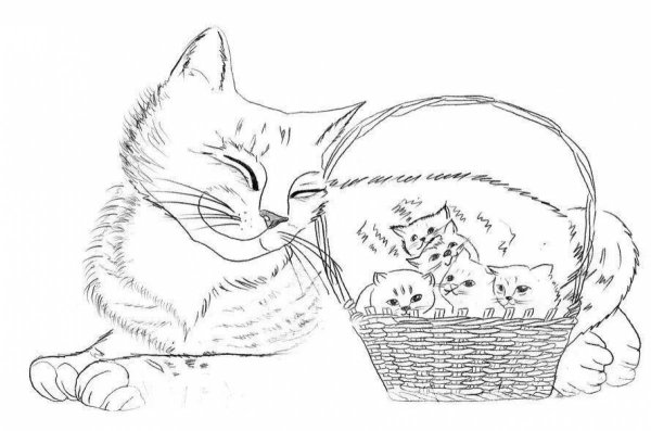 Раскраски для девочек котята в корзинке