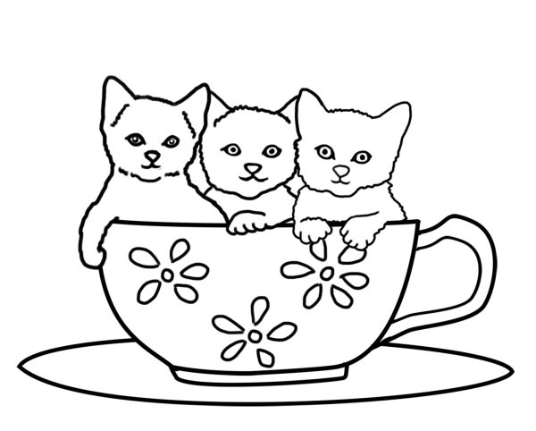 Две кошки раскраска для детей