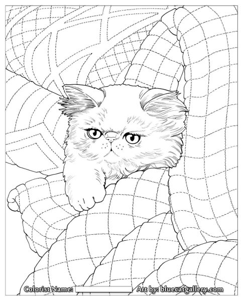 Раскраска. Котики
