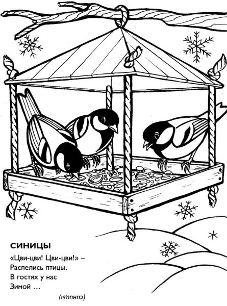 Птичка в кормушке раскраска