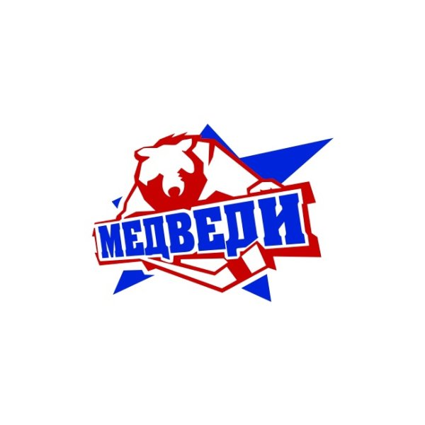 Медведи хоккейный клуб молодёжка