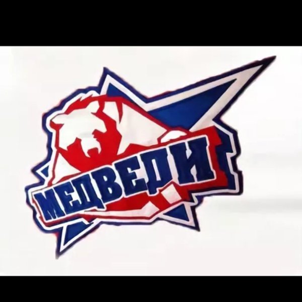 Эмблема команды медведи Молодежка