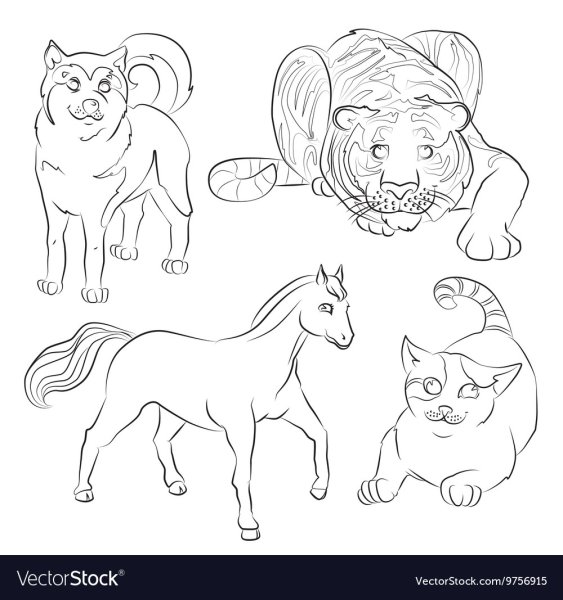 Раскраска лошадь и собака