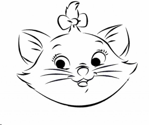 Мордочка кошечки