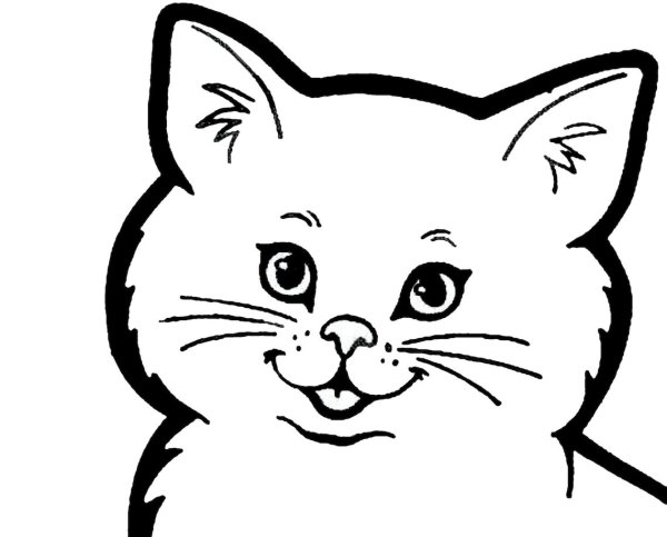 Голова кота раскраска
