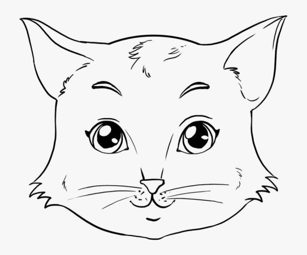 Мордочка котика раскраска