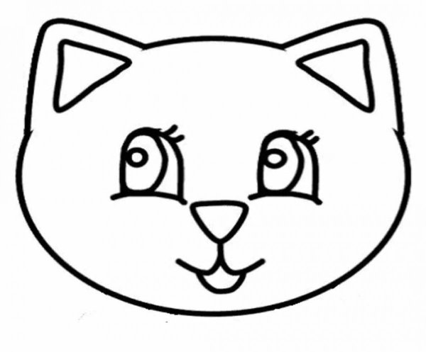 Контур мордочки кошки