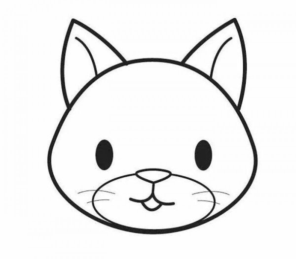 Мордочка кошки
