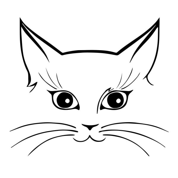 Нарисовать морду кота