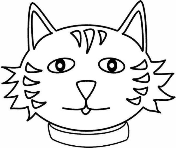 Мордочка кошки раскраска