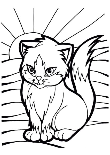 Кошки. Раскраска