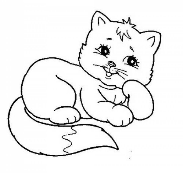 Раскраска маленькая кошечка