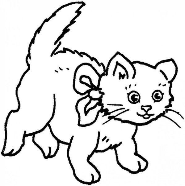 Пушистые котята. Раскраска